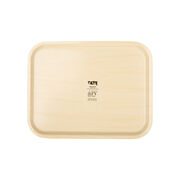 MULTICOLOUR TM tray
